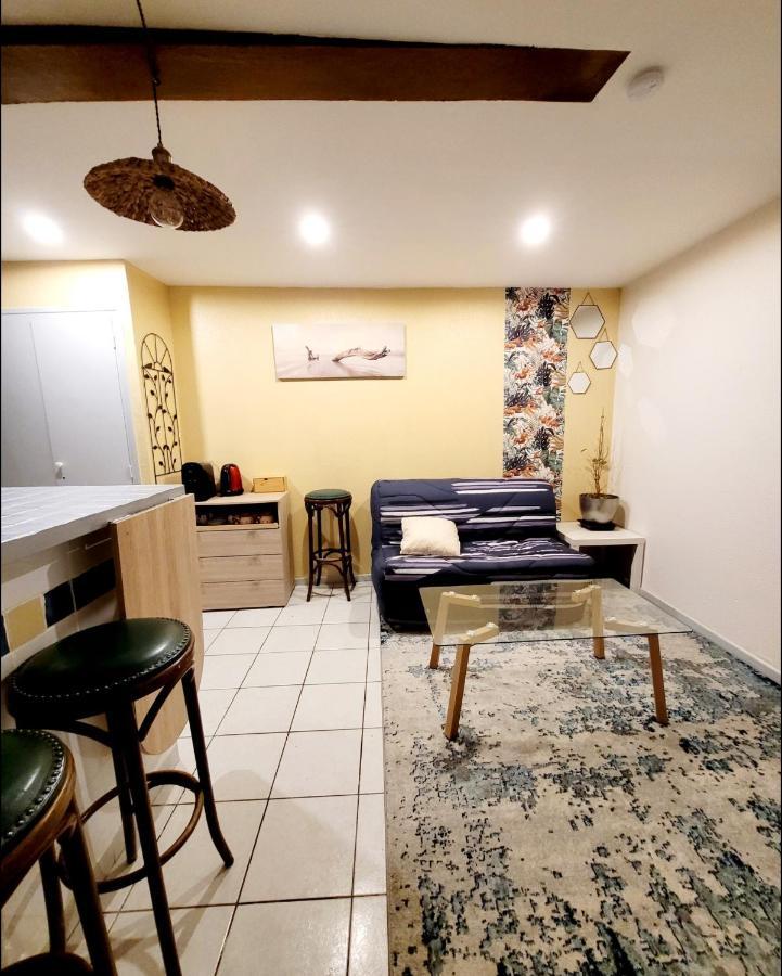 Appartements Miawe Tarbes Esterno foto